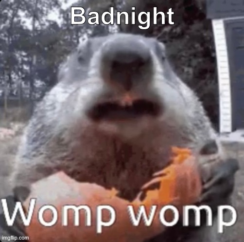 Badnight | image tagged in womp womp | made w/ Imgflip meme maker