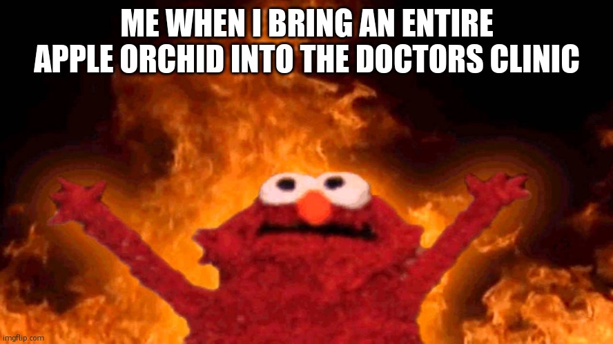 elmo fire | ME WHEN I BRING AN ENTIRE APPLE ORCHID INTO THE DOCTORS CLINIC | image tagged in elmo fire | made w/ Imgflip meme maker