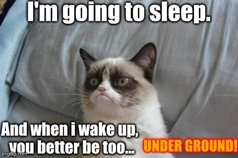 DROP DEAD!
 | I'm going to sleep. And when i wake up, you better be too... UNDER GROUND! | image tagged in memes,grumpy cat | made w/ Imgflip meme maker