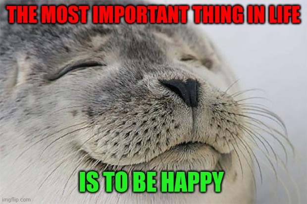 Be Happy | THE MOST IMPORTANT THING IN LIFE; IS TO BE HAPPY | image tagged in memes,satisfied seal,funny memes | made w/ Imgflip meme maker