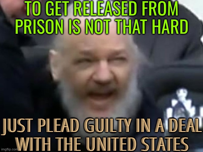Just Plead Guilty In A Deal With The United States | TO GET RELEASED FROM PRISON IS NOT THAT HARD; JUST PLEAD GUILTY IN A DEAL
WITH THE UNITED STATES | image tagged in what year is it,scumbag america,scumbag government,julian assange,breaking news,creepy joe biden | made w/ Imgflip meme maker