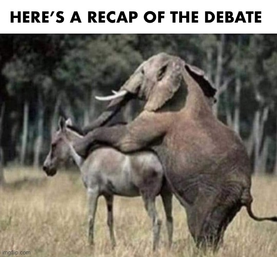 In case you missed it… | HERE’S A RECAP OF THE DEBATE | image tagged in donkey elephant | made w/ Imgflip meme maker