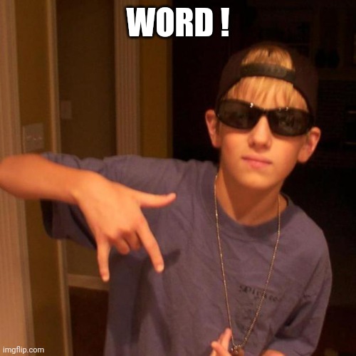 rapper nick | WORD ! | image tagged in rapper nick | made w/ Imgflip meme maker
