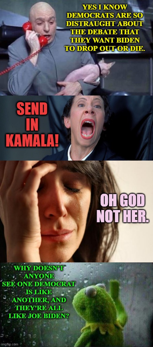 Distraught Democrats | YES I KNOW DEMOCRATS ARE SO DISTRAUGHT ABOUT THE DEBATE THAT THEY WANT BIDEN TO DROP OUT OR DIE. SEND IN KAMALA! OH GOD NOT HER. WHY DOESN'T ANYONE SEE ONE DEMOCRAT IS LIKE ANOTHER, AND THEY'RE ALL LIKE JOE BIDEN? | image tagged in dr evil and frau,joe biden,democrats,all the same,memes,politics | made w/ Imgflip meme maker