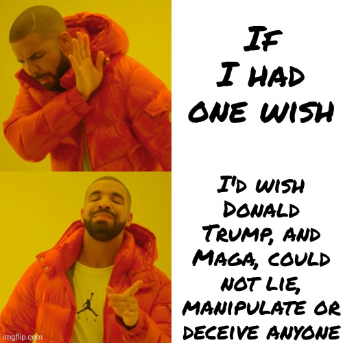 Right Now That's An Exercise In Futility | If I had one wish; I'd wish Donald Trump, and Maga, could not lie, manipulate or deceive anyone | image tagged in memes,drake hotline bling,lock him up,trump lies,trump unfit unqualified dangerous,maga lies | made w/ Imgflip meme maker