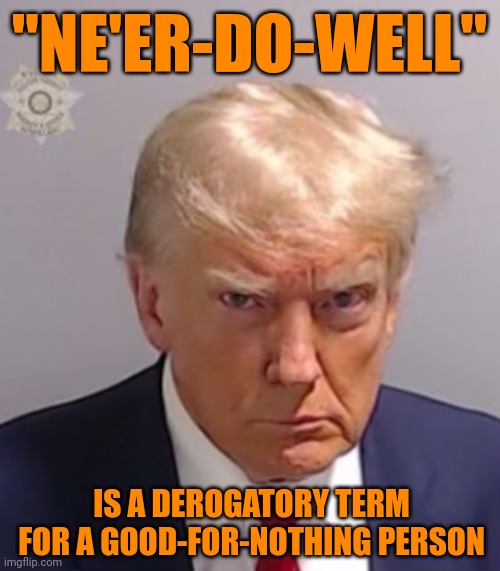 Ne'er-do-well | "NE'ER-DO-WELL"; IS A DEROGATORY TERM FOR A GOOD-FOR-NOTHING PERSON | image tagged in donald trump mugshot,trump lies,trump unfit unqualified dangerous,lock him up,trump corruption,memes | made w/ Imgflip meme maker