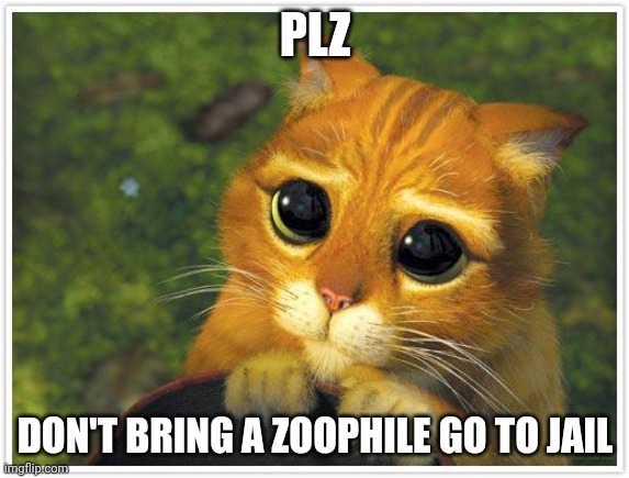 PLZ DON'T BRING A ZOOPHILE GO TO JAIL | image tagged in memes,shrek cat | made w/ Imgflip meme maker