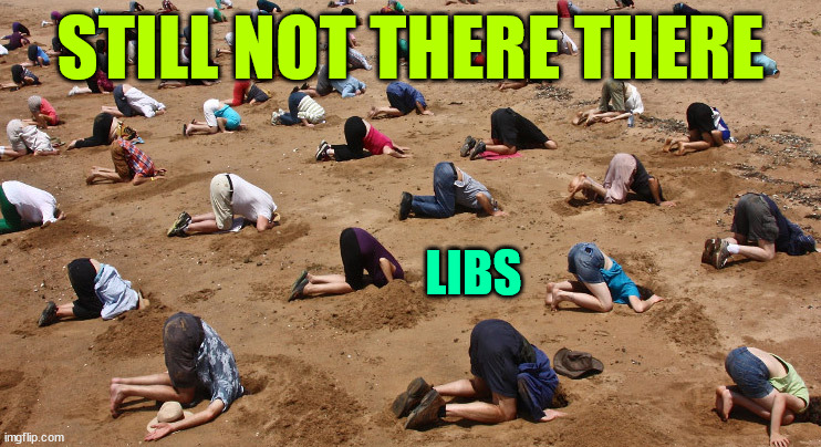 heads in sand | STILL NOT THERE THERE LIBS | image tagged in heads in sand | made w/ Imgflip meme maker