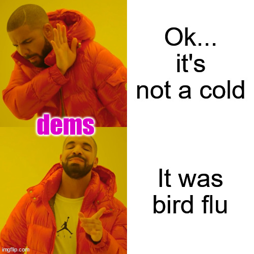 Drake Hotline Bling Meme | Ok... it's not a cold It was bird flu dems | image tagged in memes,drake hotline bling | made w/ Imgflip meme maker