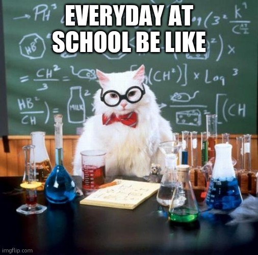 Chemistry Cat Meme | EVERYDAY AT SCHOOL BE LIKE | image tagged in memes,chemistry cat | made w/ Imgflip meme maker