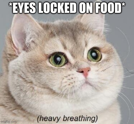 Heavy Breathing Cat Meme | *EYES LOCKED ON FOOD* | image tagged in memes,heavy breathing cat | made w/ Imgflip meme maker