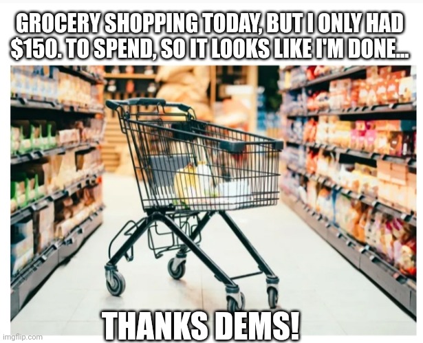 THANKS DEMS! | GROCERY SHOPPING TODAY, BUT I ONLY HAD $150. TO SPEND, SO IT LOOKS LIKE I'M DONE... THANKS DEMS! | image tagged in idiot,democrats,epic fail,economics,vote,republican party | made w/ Imgflip meme maker