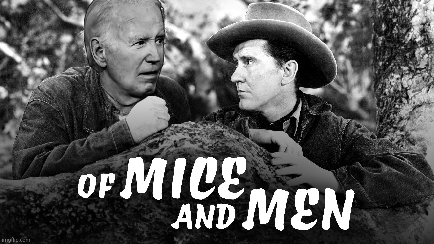 Tell about what we're gonna have in the garden and about the rabbits in the cages | image tagged in joe biden,democrats,presidential debate | made w/ Imgflip meme maker