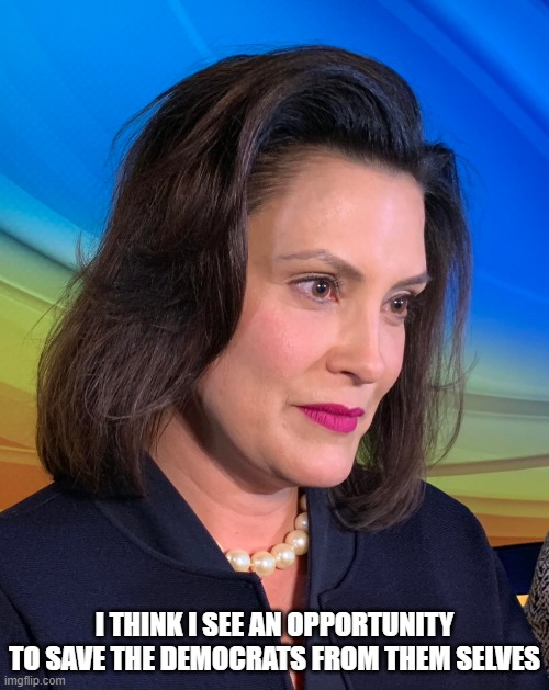 Governor Whitmer | I THINK I SEE AN OPPORTUNITY TO SAVE THE DEMOCRATS FROM THEM SELVES | image tagged in governor whitmer | made w/ Imgflip meme maker