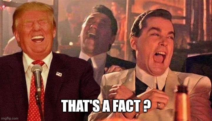 Trump good fellas laughing | THAT'S A FACT ? | image tagged in trump good fellas laughing | made w/ Imgflip meme maker