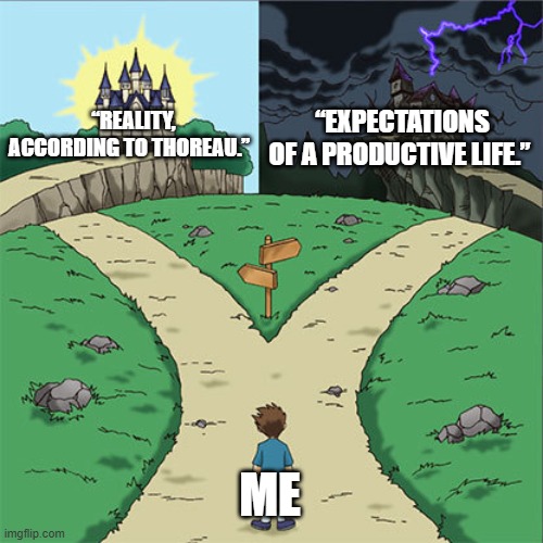 mwmw | “EXPECTATIONS OF A PRODUCTIVE LIFE.”; “REALITY, ACCORDING TO THOREAU.”; ME | image tagged in two paths | made w/ Imgflip meme maker