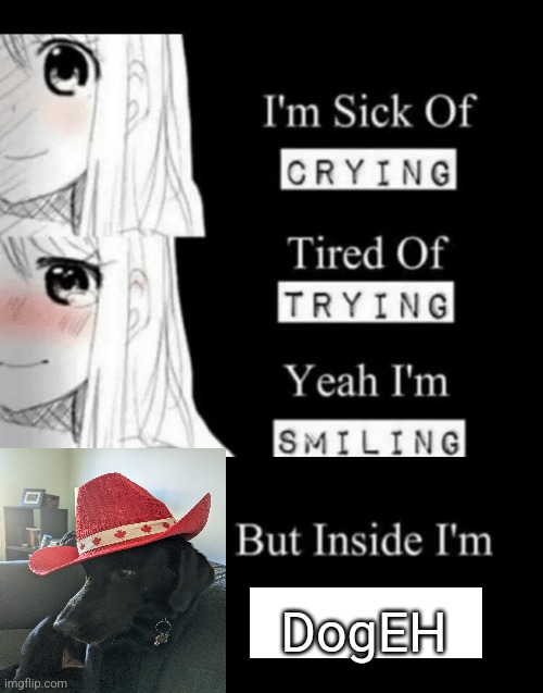 I'm Sick Of Crying | DogEH | image tagged in i'm sick of crying | made w/ Imgflip meme maker