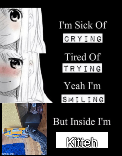 Kitteh | Kitteh | image tagged in i'm sick of crying | made w/ Imgflip meme maker