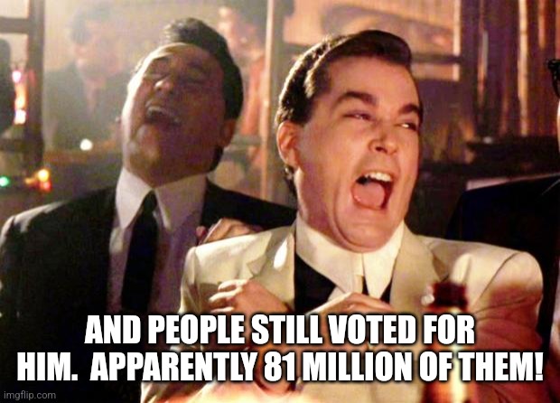 Goodfellas Laugh | AND PEOPLE STILL VOTED FOR HIM.  APPARENTLY 81 MILLION OF THEM! | image tagged in goodfellas laugh | made w/ Imgflip meme maker