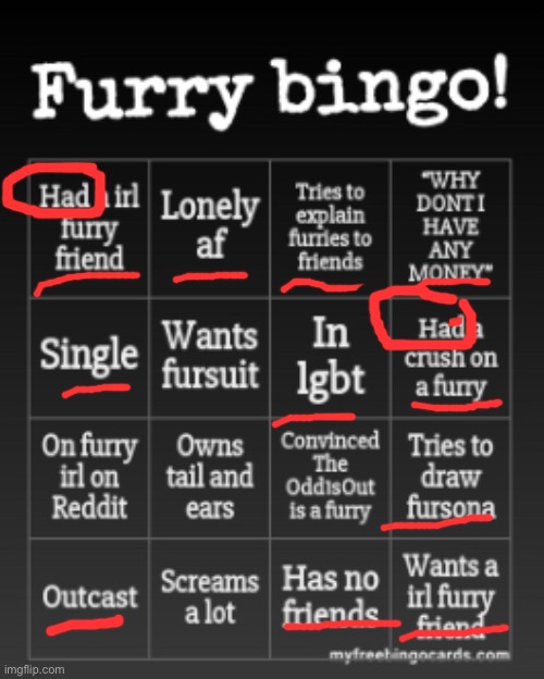 Roast me I don’t care I just lost my best friend | image tagged in furry bingo | made w/ Imgflip meme maker