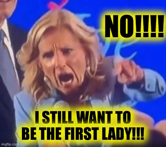 NO!!!! I STILL WANT TO BE THE FIRST LADY!!! | made w/ Imgflip meme maker