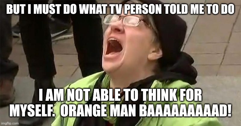 crying liberal | BUT I MUST DO WHAT TV PERSON TOLD ME TO DO I AM NOT ABLE TO THINK FOR MYSELF.  ORANGE MAN BAAAAAAAAAD! | image tagged in crying liberal | made w/ Imgflip meme maker