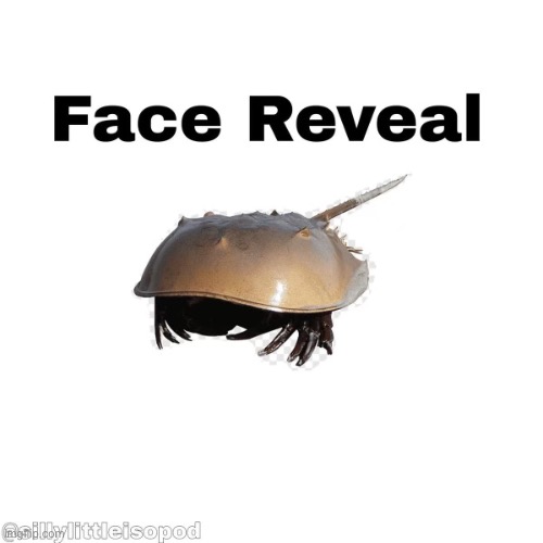 Face reveal!1!1!1!1! | made w/ Imgflip meme maker