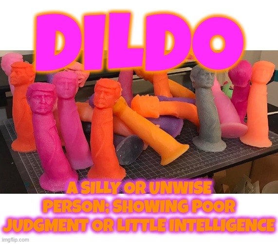 DILDO | DILDO; A SILLY OR UNWISE PERSON; SHOWING POOR JUDGMENT OR LITTLE INTELLIGENCE | image tagged in dildo,stupid,unwise,fake,artificial,idiot | made w/ Imgflip meme maker