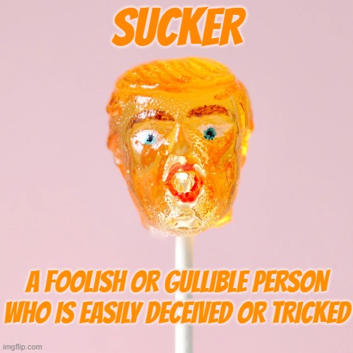 SUCKER | SUCKER; A FOOLISH OR GULLIBLE PERSON WHO IS EASILY DECEIVED OR TRICKED | image tagged in sucker,chump,fool,idiot,loser,tool | made w/ Imgflip meme maker