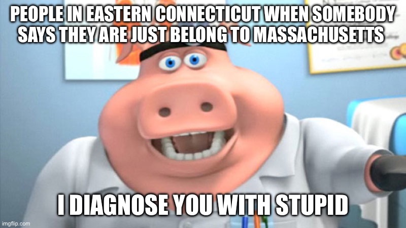 I Diagnose You With Dead | PEOPLE IN EASTERN CONNECTICUT WHEN SOMEBODY SAYS THEY ARE JUST BELONG TO MASSACHUSETTS; I DIAGNOSE YOU WITH STUPID | image tagged in i diagnose you with dead | made w/ Imgflip meme maker