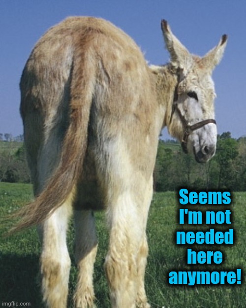 donkey ass | Seems
I'm not
needed
here
anymore! | image tagged in donkey ass | made w/ Imgflip meme maker