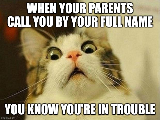 Scared Cat Meme | WHEN YOUR PARENTS CALL YOU BY YOUR FULL NAME; YOU KNOW YOU'RE IN TROUBLE | image tagged in memes,scared cat | made w/ Imgflip meme maker