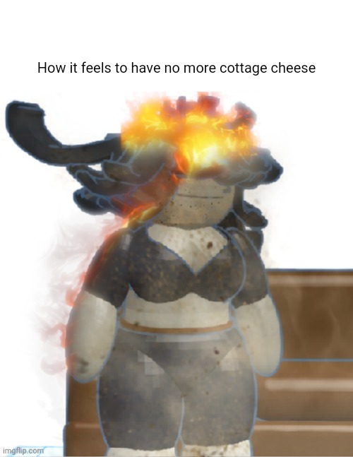 How it feels to have no more cottage cheese | made w/ Imgflip meme maker
