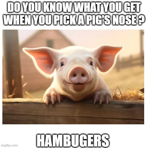 Pig | DO YOU KNOW WHAT YOU GET WHEN YOU PICK A PIG'S NOSE ? HAMBUGERS | image tagged in eyeroll | made w/ Imgflip meme maker
