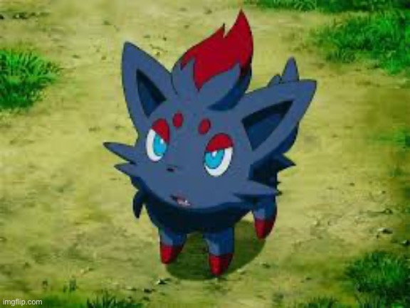 Zorua | image tagged in zorua | made w/ Imgflip meme maker