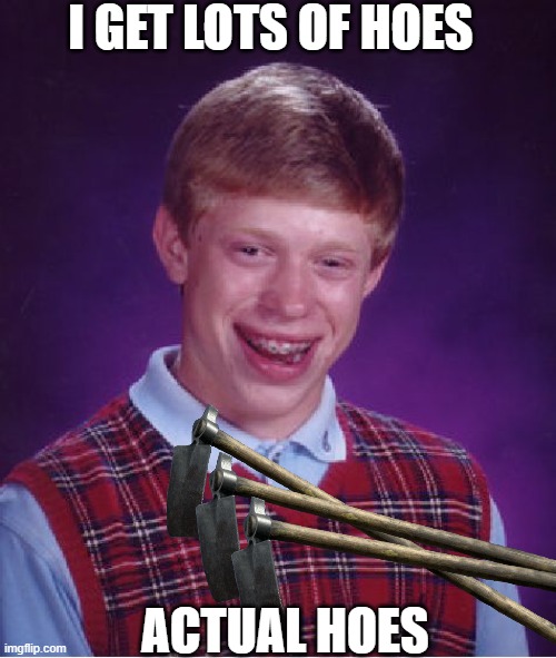bruh | I GET LOTS OF HOES; ACTUAL HOES | image tagged in memes,bad luck brian,hoes,farming,farm,farmers | made w/ Imgflip meme maker