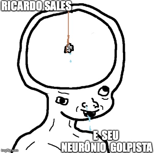 Ricardo salles | RICARDO SALES; E  SEU  NEURÔNIO  GOLPISTA | image tagged in ricardo salles,bolsonarista,golpista,golpe,bolivia,brasil | made w/ Imgflip meme maker