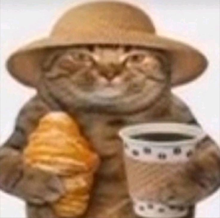 High Quality cat-coffee-croissant-hat-vacation Blank Meme Template