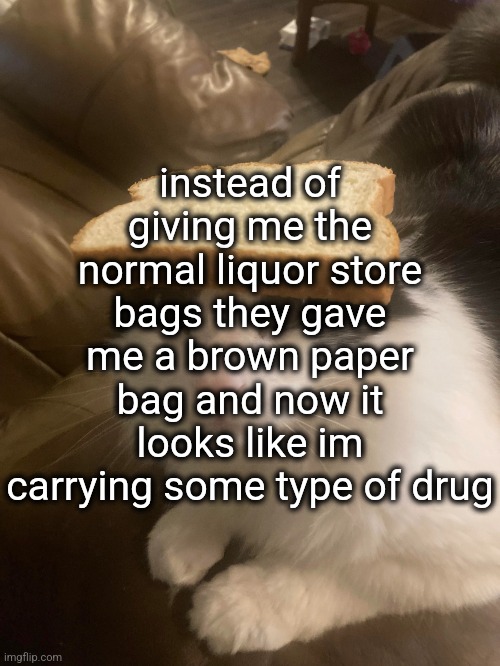 bread cat | instead of giving me the normal liquor store bags they gave me a brown paper bag and now it looks like im carrying some type of drug | image tagged in bread cat | made w/ Imgflip meme maker