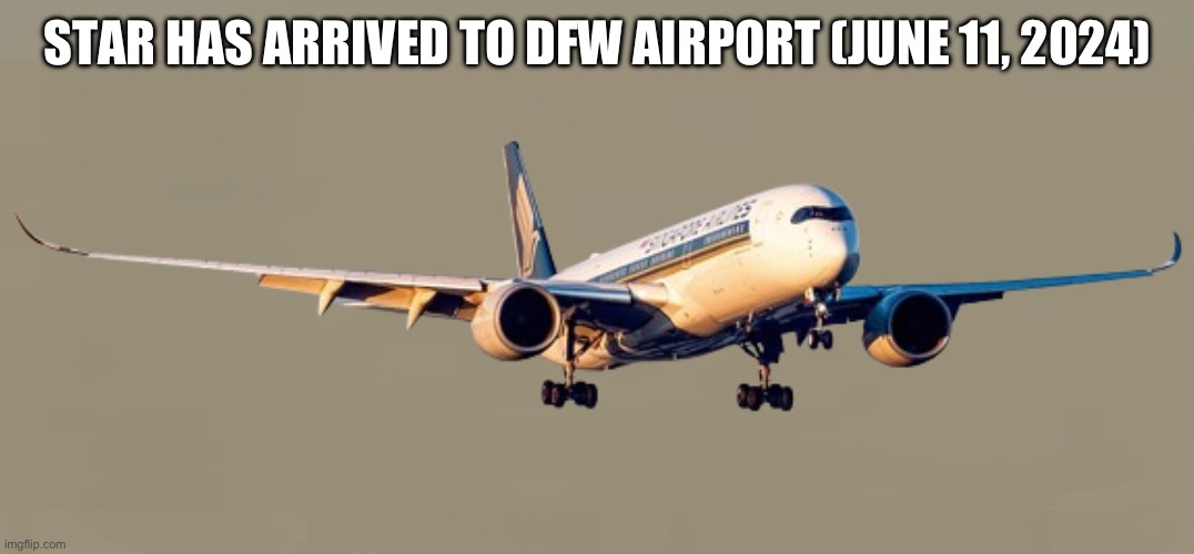 June 11, 2024: Star Arrives to Dallas Fort Worth after a 20 Hour Flight | STAR HAS ARRIVED TO DFW AIRPORT (JUNE 11, 2024) | image tagged in star butterfly | made w/ Imgflip meme maker