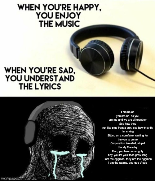 When your sad you understand the lyrics | I am he as you are he, as you are me and we are all together
See how they run like pigs from a gun, see how they fly
I′m crying

Sitting on a cornflake, waiting for the van to come
Corporation tee-shirt, stupid bloody Tuesday
Man, you been a naughty boy, you let your face grow long

I am the eggman, they are the eggmen
I am the walrus, goo-goo g'joob | image tagged in when your sad you understand the lyrics | made w/ Imgflip meme maker