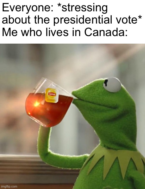 Not lgbtq but on topic for what everyone else is talking about | Everyone: *stressing about the presidential vote*
Me who lives in Canada: | image tagged in memes,but that's none of my business,kermit the frog | made w/ Imgflip meme maker
