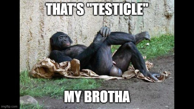 Big balls gorilla | THAT'S "TESTICLE" MY BROTHA | image tagged in big balls gorilla | made w/ Imgflip meme maker