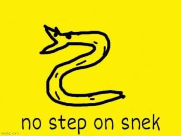 No step on snek | image tagged in no step on snek | made w/ Imgflip meme maker
