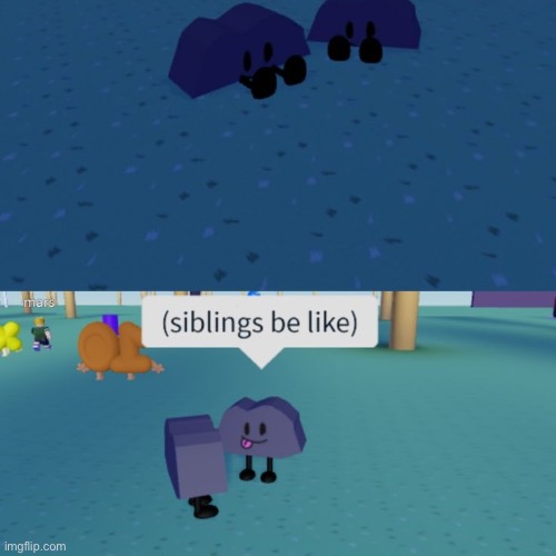 Rocky siblings | image tagged in memes,funny,bfdi,roblox | made w/ Imgflip meme maker