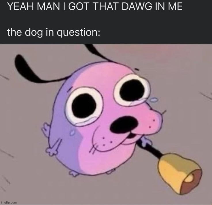 image tagged in memes,funny | made w/ Imgflip meme maker