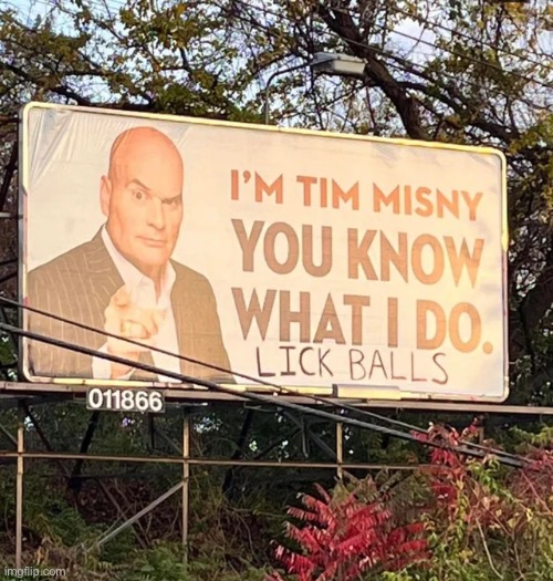 Mildly vandalised tim minsy billboard | image tagged in vandalism,funny vandalism | made w/ Imgflip meme maker