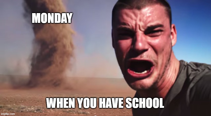 Run | MONDAY; WHEN YOU HAVE SCHOOL | image tagged in here it comes | made w/ Imgflip meme maker