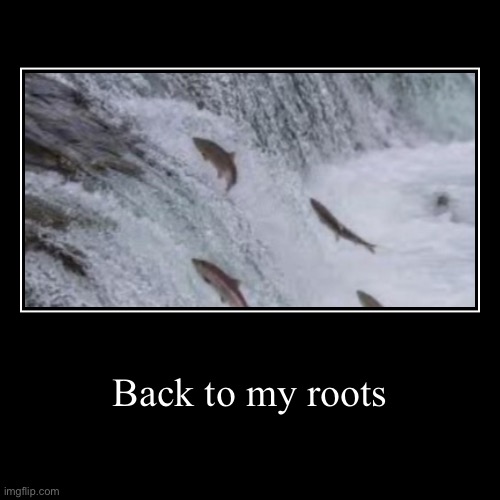Back to my roots | | image tagged in funny,demotivationals | made w/ Imgflip demotivational maker