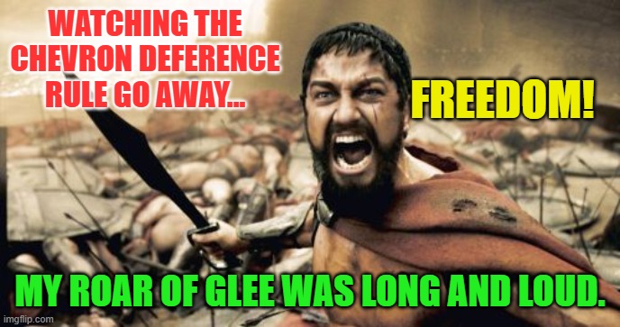 Sparta Leonidas Meme | WATCHING THE CHEVRON DEFERENCE RULE GO AWAY... FREEDOM! MY ROAR OF GLEE WAS LONG AND LOUD. | image tagged in memes,sparta leonidas | made w/ Imgflip meme maker